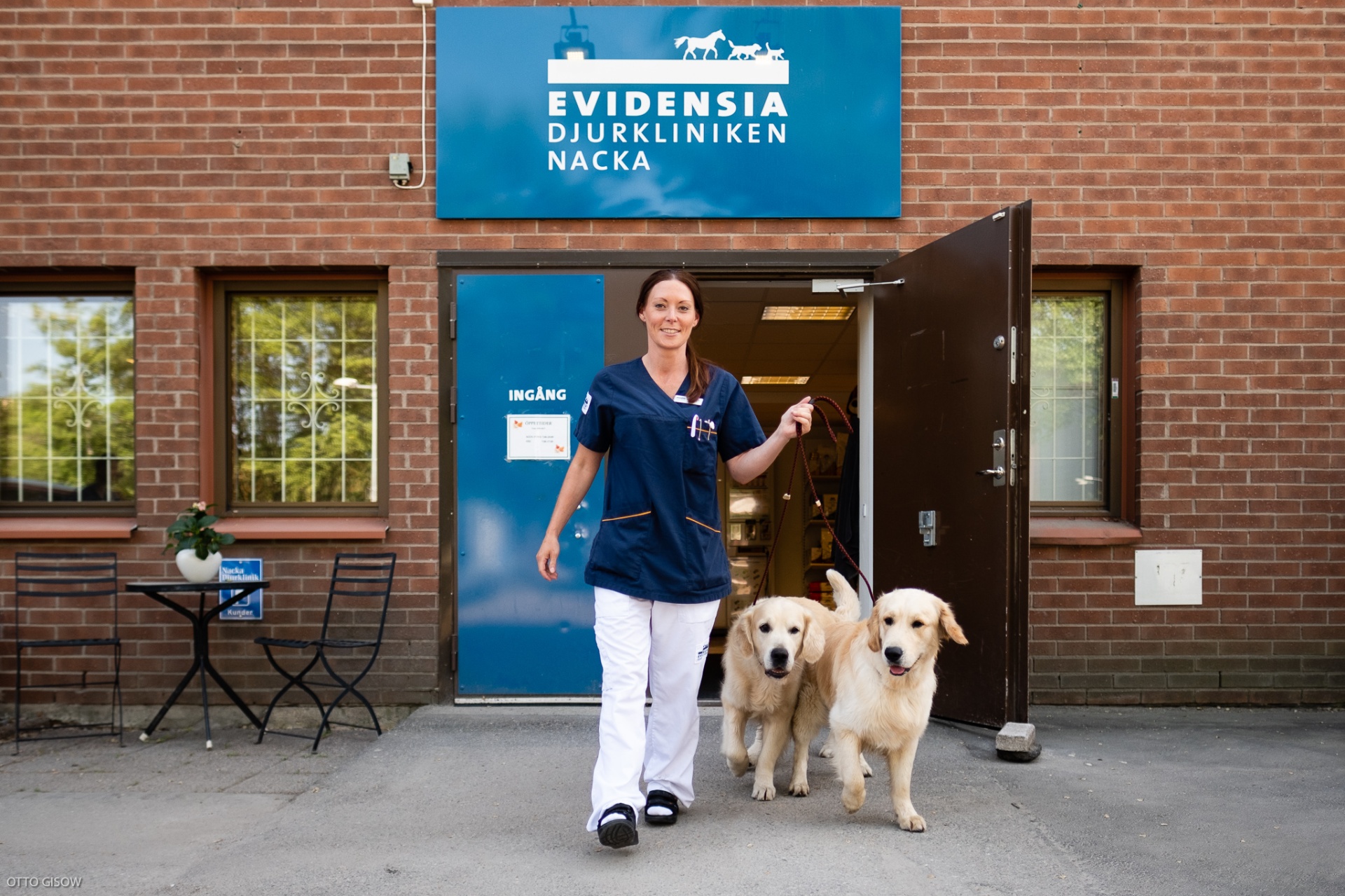 Evidensia — National Visual Production - Image 3