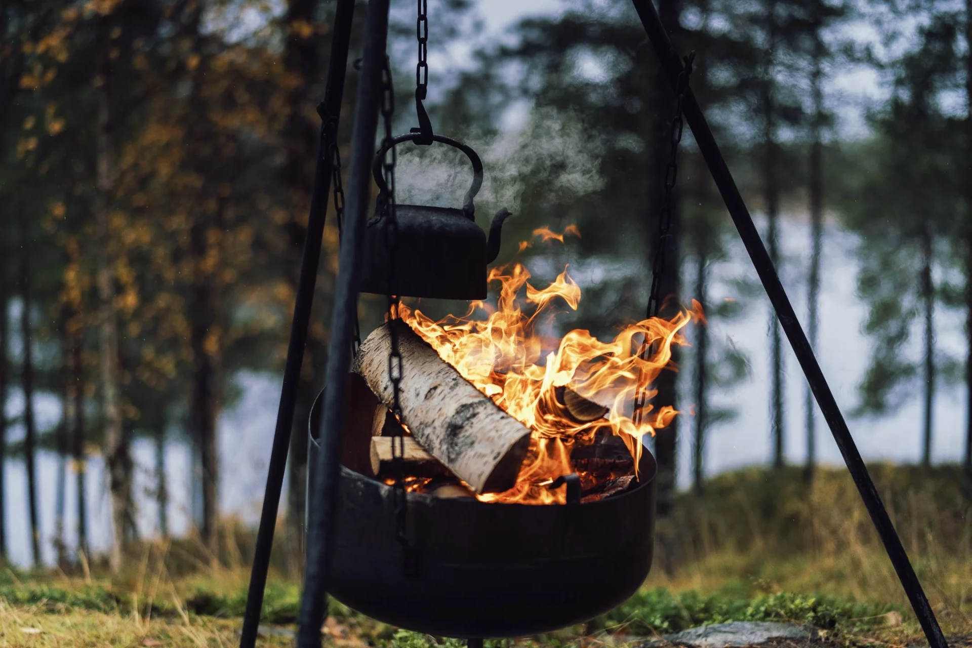 Namdalbruk — Full Digital Brand System